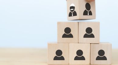 Institucionalización de las empresas